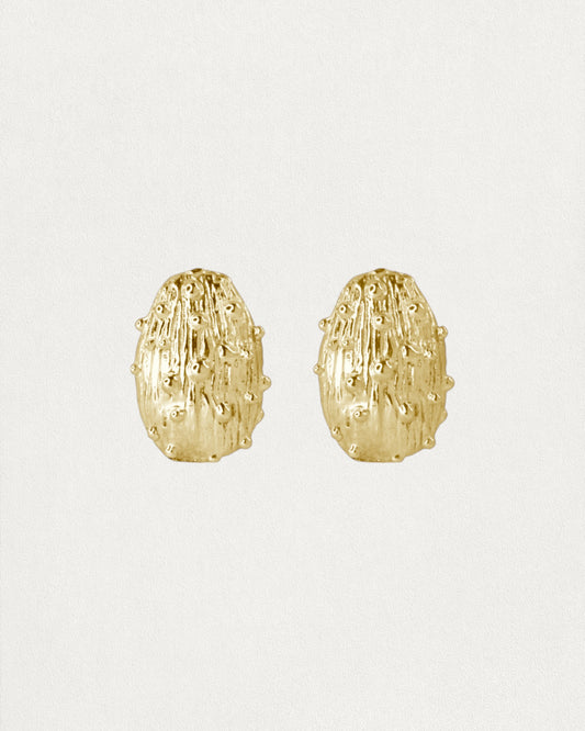 Pari Earrings - Gold