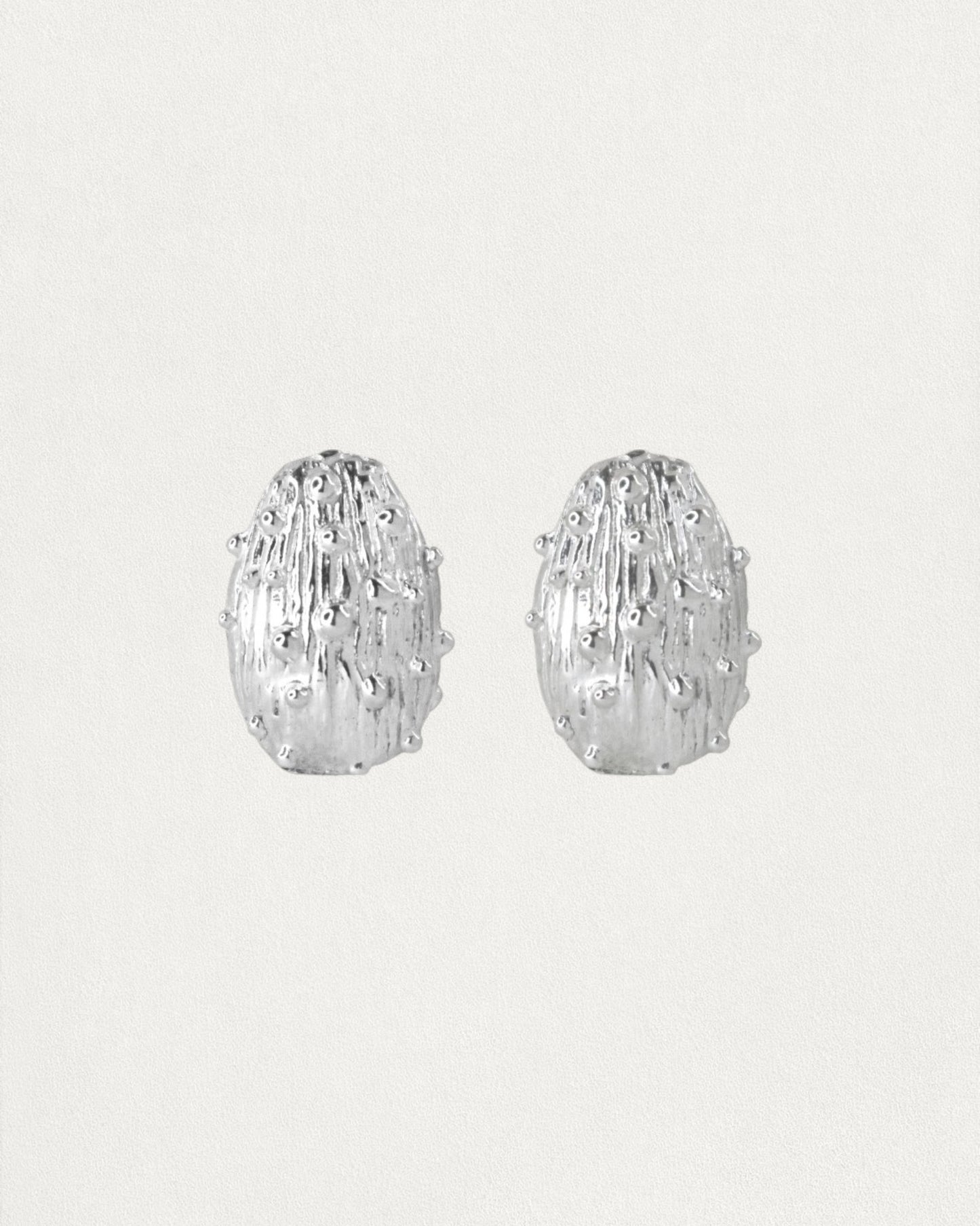 Pari Earrings - Silver